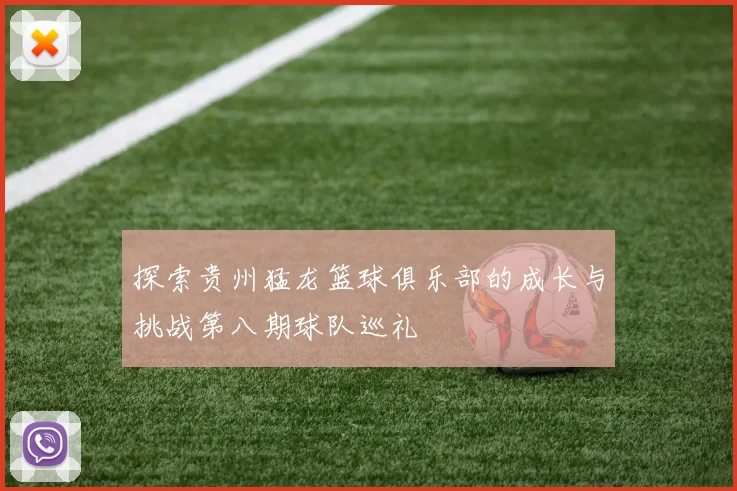 探索贵州猛龙篮球俱乐部的成长与挑战第八期球队巡礼