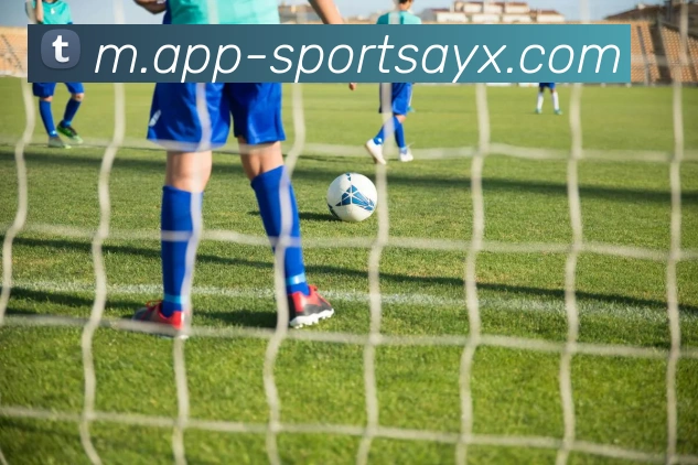 爱游戏平台生态图